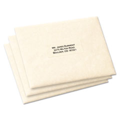 Mailing Labels, Permanent, 1"x2-5/8", 300 Labels/PK, Clear