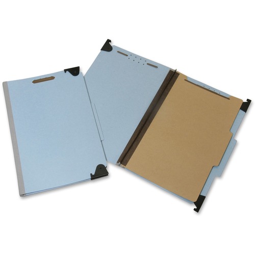 Hanging File Folder, 25Pt, 1" Cap, Lgl, 1-Div, 4-Sec, LBE