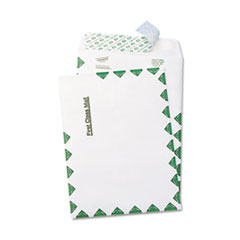 Tyvek Open-End Envelope,1st Class,6"x9",100/BX,WE