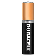 Alkaline Battery, AAA, 16/PK